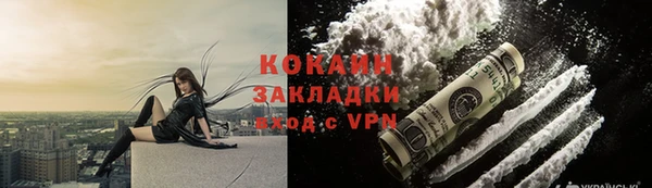 стаф Вяземский