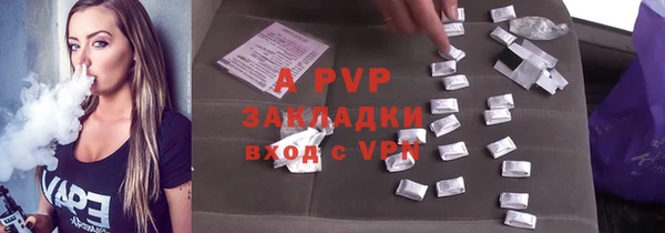 стаф Вяземский