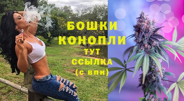 стаф Вяземский