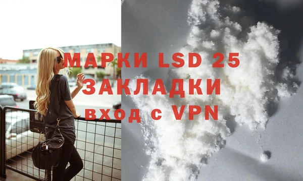 стаф Вяземский