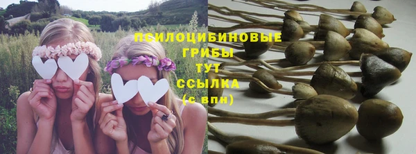 спиды Вязники