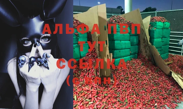 стаф Вяземский