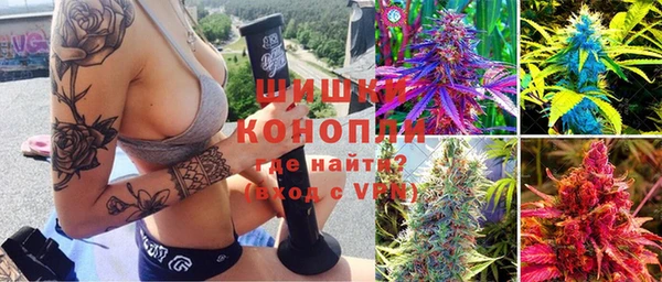 стаф Вяземский