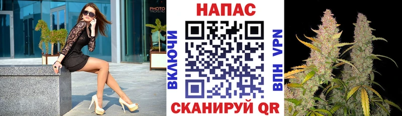Бошки Шишки марихуана  Купить где  Магас 